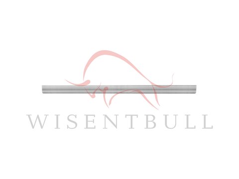 Кузовные пороги для Opel Movano B