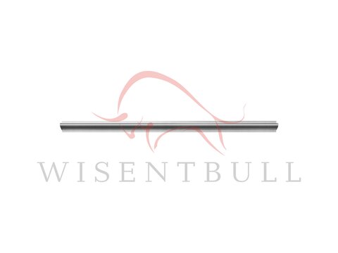 Кузовные пороги для Nissan Interstar