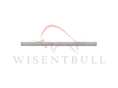 Кузовные пороги для Ford E-series IV